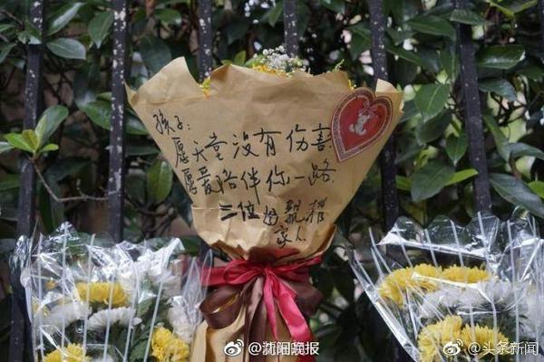 星空全站下载app客户端